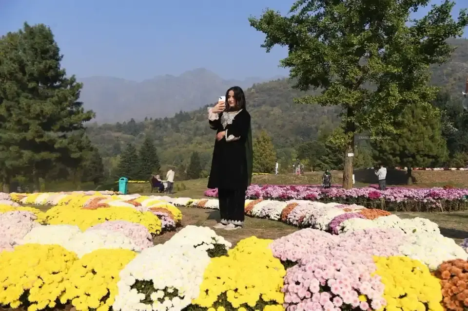 Paradise in Bloom – 6-Day Chrysanthemum and Srinagar Garden Package