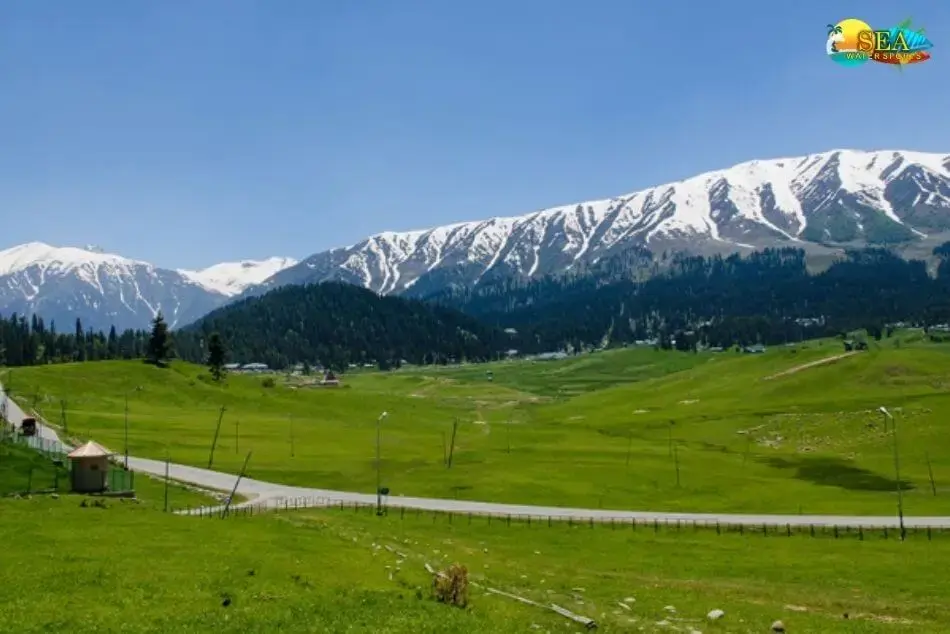 Gulmarg Autumn Adventures: Meadows, Gondolas, and Fall Views