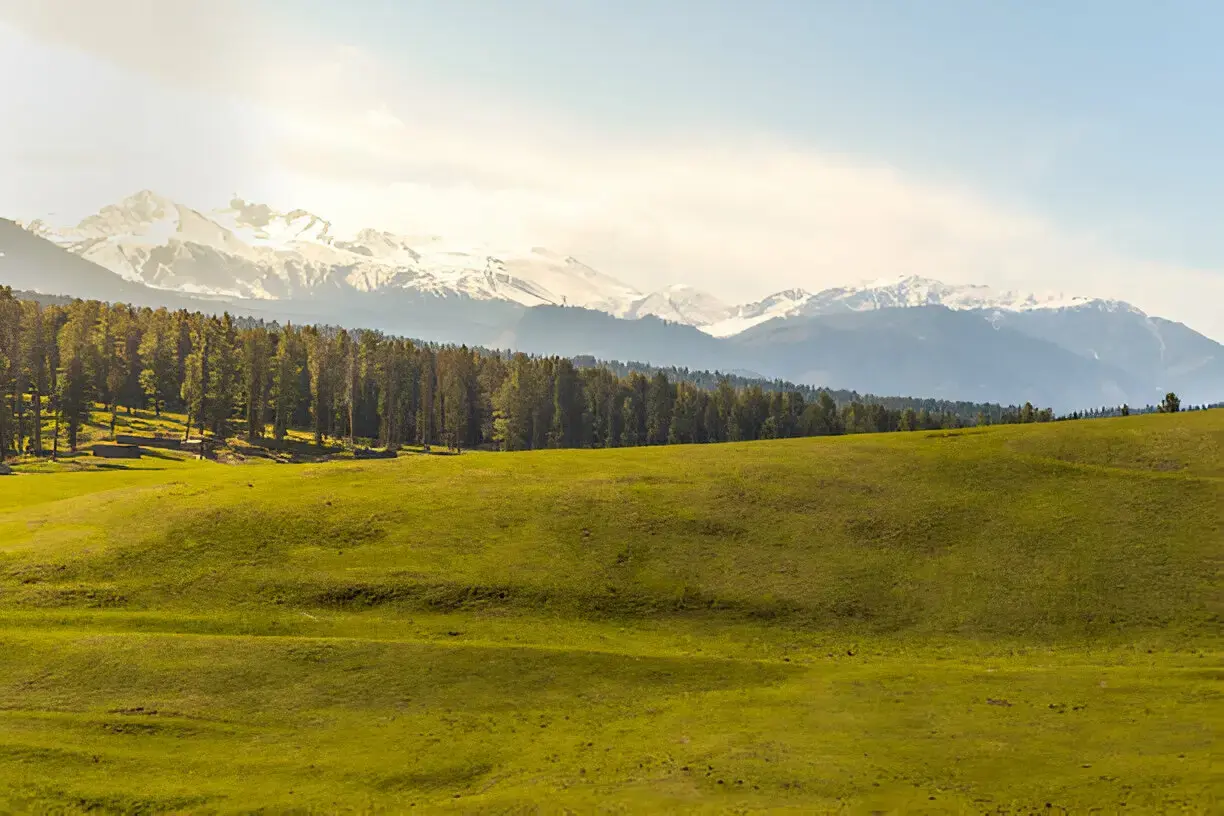 YUSMARG