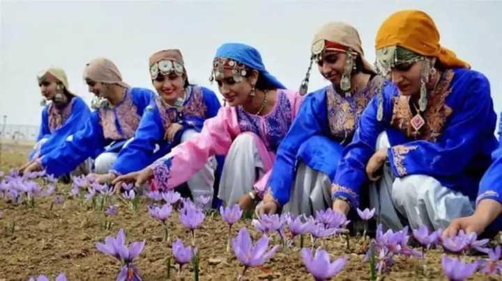 4-Day Saffron Explorer Itinerary