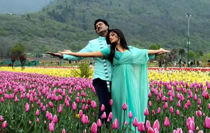 kashmir-honeymoon