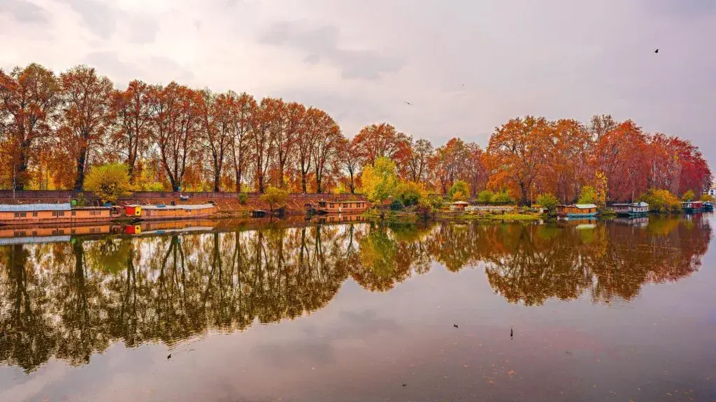 Srinagar in Autumn: Lakes, Gardens, and Golden Chinar Magic