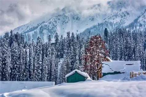 Best Month to Visit Kashhmir for Snowfall
