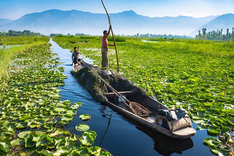 Shikara Ride on dal Lake is one of the most entertaining activity in Kashmir
