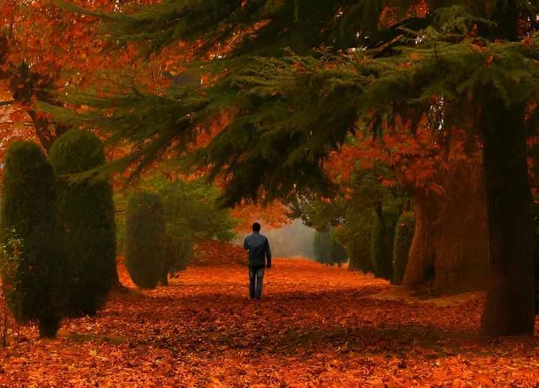 Kashmir in October: The Perfect Fall Destination for Nature Lovers