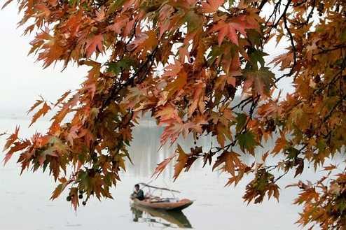 Top 15 Places to Visit in Kashmir in Autumn: Foliage Hotspots