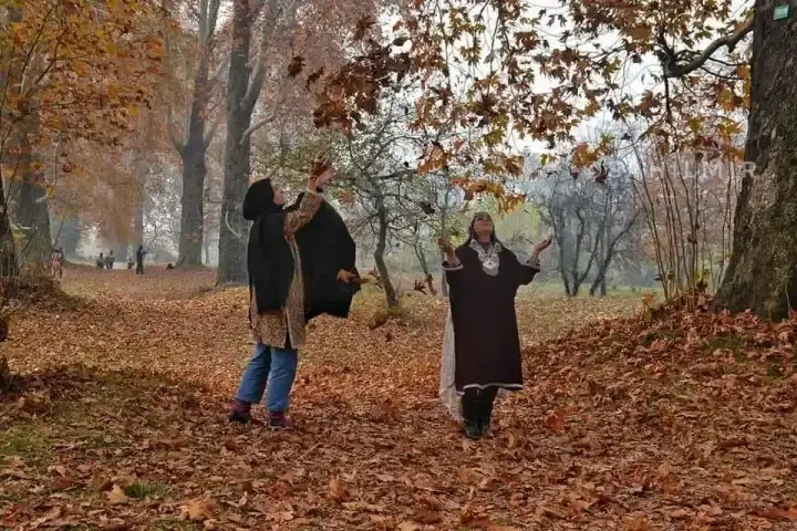 5 Days Kashmir Autumn Tour Package, Kashmir saffron tour, Kashmir autumn holiday package, Pampore saffron fields tour, Srinagar & Gulmarg autumn trip, Pahalgam autumn tour package.