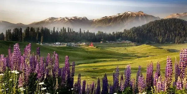 Book a 7 Days / 6 Nights Kashmir Autumn Special Tour with Srinagar, Gulmarg, Sonamarg, Pahalgam, and a Pampore saffron field experience. Enjoy chinar trees, Mughal gardens, Dal Lake shikara rides, and breathtaking valleys in one perfect Kashmir autumn holiday.