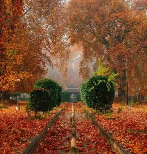 Discover Kashmir’s autumn foliage in 2025 with our top 7 spots, from Srinagar’s Mughal Gardens to Sonamarg’s meadows. Book our Autumn Highlights Package for guided tours and luxury stays to see the Chinar leaves shine.